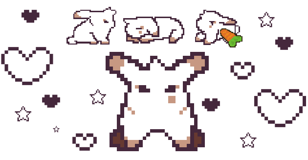 Binky the bunny in her different poses